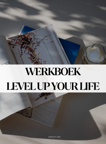 werkboek mindset
